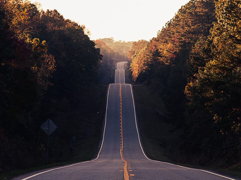 The road to SEO with Bozeman Wordpress