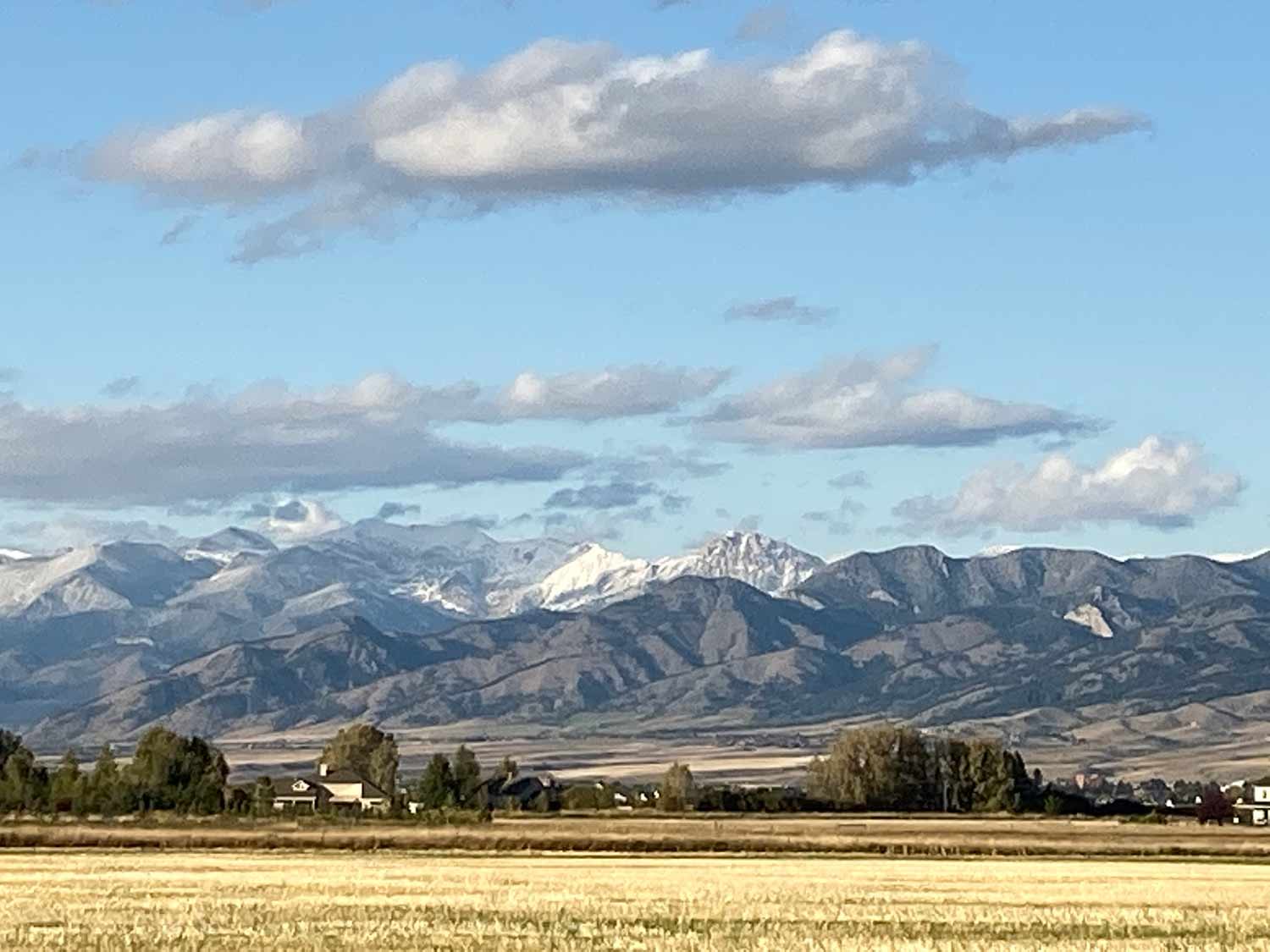 Sync-Web-Design-Bozeman-Wordpress-